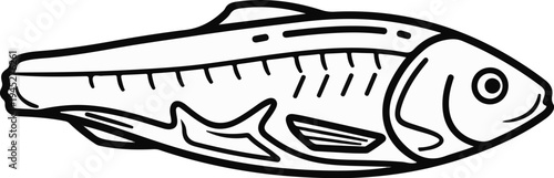 Stylized line drawing of a fish, depicted in black on white