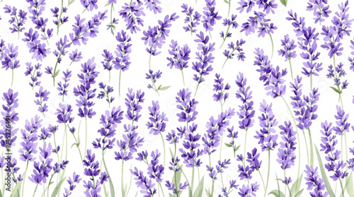 blue flowers background