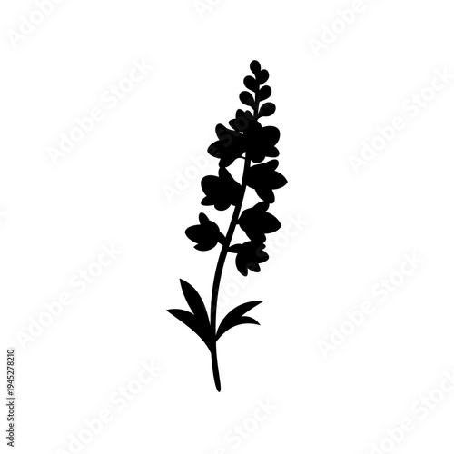 Elegant silhouette of a Delphinium flower standing tall against a white background