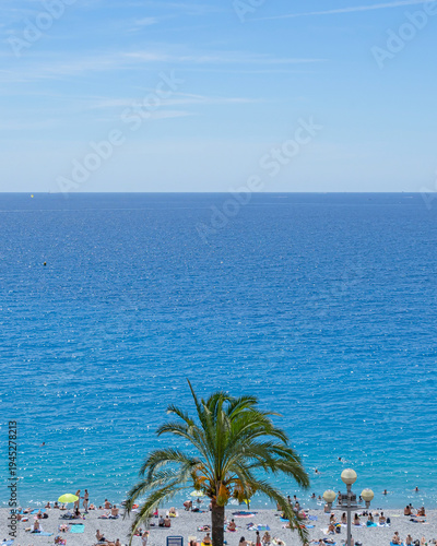 Palm tree and turquoise Mediterranean sea on the beach of Nice on the French Riviera.