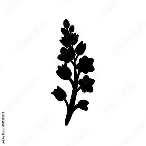 Silhouette of a Flowering Plant with Buds and Blossoms on a White Background