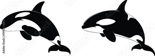 Minimalist black orca whale silhouette marine animal vector icon