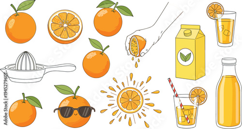 Fresh Orange Juice Illustration Set Featuring Fruit, Squeezer, Glass, Carton, and Bottle for Juicy Beverage Designs