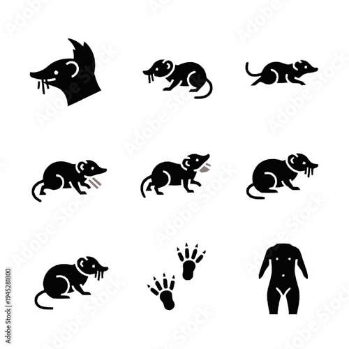 Shrew bold icon set in black, featuring various active poses, head profiles, and paw prints, along with an abstract human torso.