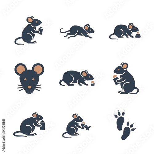 Mouse flat design icon set in grey and orange, featuring various poses like running and eating, with head profiles and paw prints.