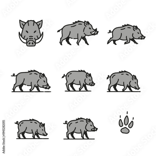 Gray Outline Vector Icons of Wild Boars and Pigs in Various Poses, Including Head and Paw Print, Isolated on White.