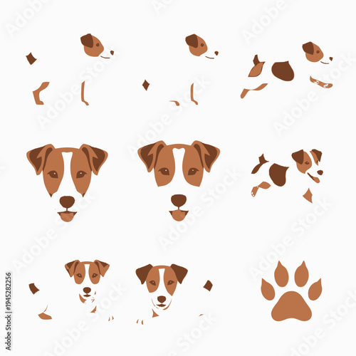 Collection of flat design vector illustrations of Jack Russell Terrier in various poses and expressions, featuring a paw print icon.