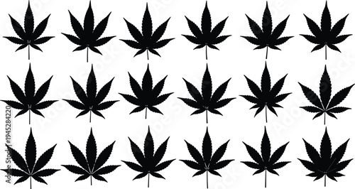 Cannabis Leaf Silhouette Set, Marijuana Plant Graphics, Hemp Leaf Vector Collection, Medical Ganja Illustration, CBD Botanical Elements, Weed Icon, Cad Drawing Flat Vector Illustration