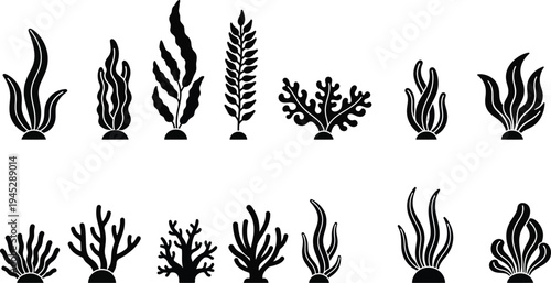Diverse collection of marine seaweed and coral illustrations in silhouette style