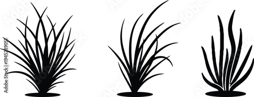 Three distinct silhouettes of stylized grass or plant clusters against a plain background