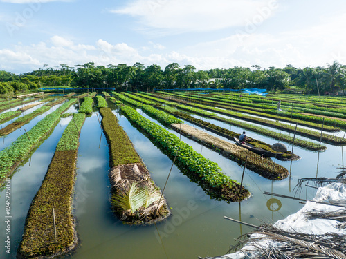 Aerial view of long, cultivated plots shimmer in the sunlight, reflecting the sky above, as a lone boatman navigates the waterways, Barisal, Barisal Division, Bangladesh.