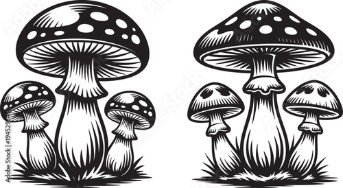 Group of stylized mushrooms with spots in black and white woodcut style