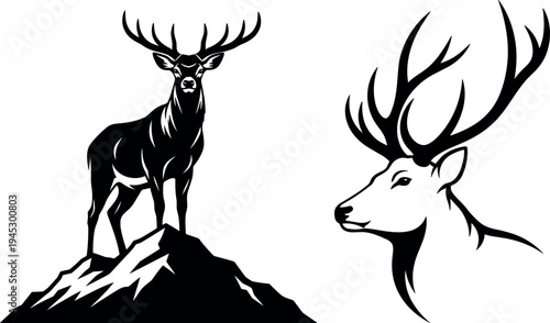 Minimalist Deer Antlers Vector Illustration on White Background