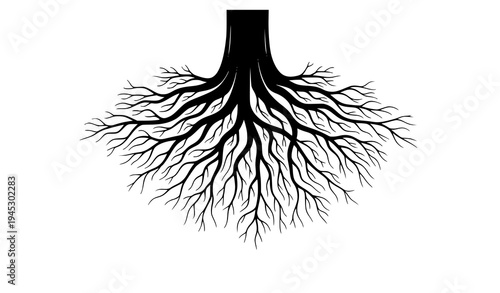 Tree root black silhouette vector illustration showing plant root system and growth isolated on transparent background