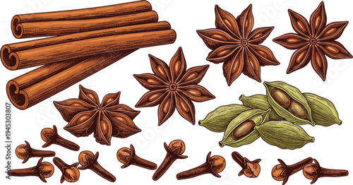 Cinnamon sticks star anise cardamom pods and cloves spice vector illustration aromatic cooking ingredients herbal seasoning collection