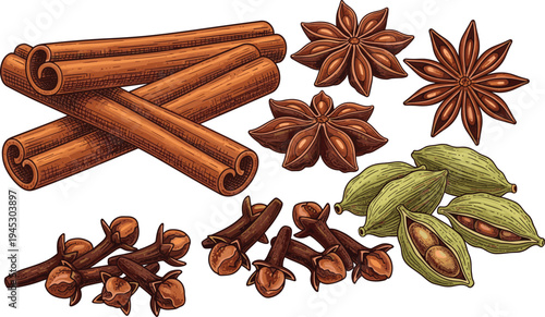 Cinnamon sticks star anise cloves and cardamom pods spice vector illustration aromatic cooking ingredients herbal seasoning collection