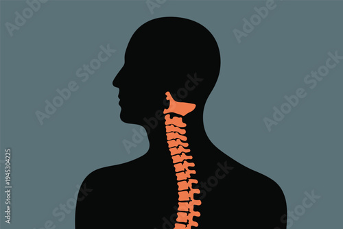 Human Spine Silhouette, anatomy & posture health concept