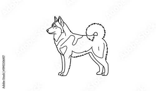 Siberian Husky Dog Outline Line Art Vector Pet Breed Illustration