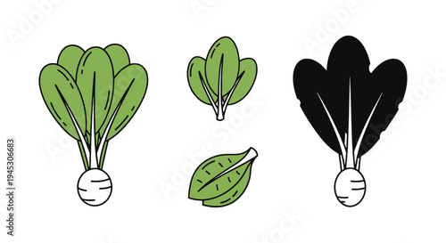 Spinach Fatayer Line art clean fresh abstract illustration