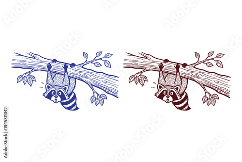 Cute Raccoon Hanging Upside Down on Tree Branch Line Art Vector Illustration