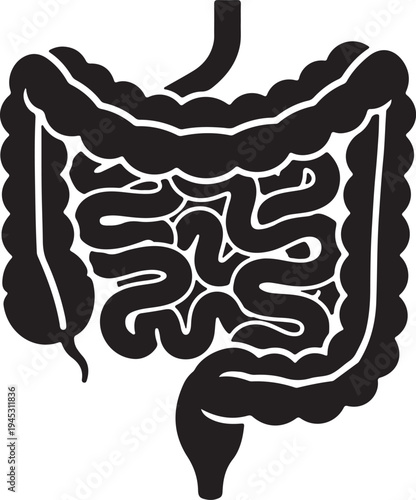 Human digestive system anatomy vector illustration isolated PNG with Transparent Background