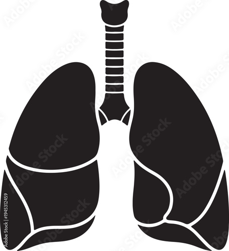 Vector illustration of human lungs and trachea, anatomy isolated PNG with Transparent Background