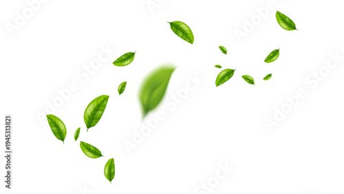 green leaf flying vector background