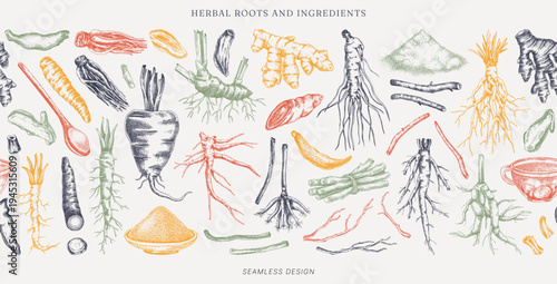 Medicinal roots seamless pattern. Herbal ingredients hand drawn vector illustration. Vintage apothecary background. NOT AI generated