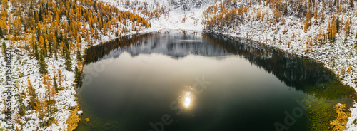 Aerial view of San Giuliano  lake reflecting mountains, surrounded by snow-dusted golden trees. San Giuliano Lakes,Adamello Brenta Natural Park,Caderzone Terme,Trentino,Italy