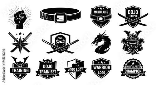 Black and White Martial Arts Emblems and Icons Set Vector