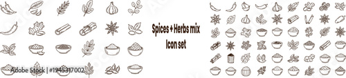 Set of spices and herbs icons vector