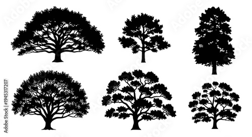 Black Silhouette of Diverse Tree Species, Vector Art