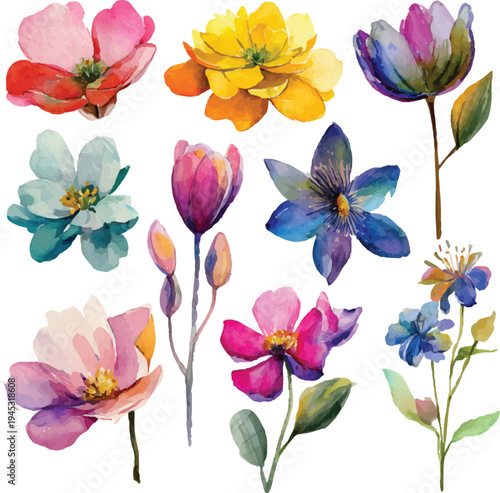 set of colorful flowers set