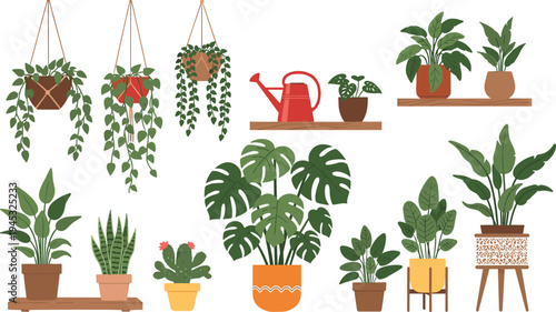 indoor houseplant collection vector illustration, potted tropical plants monstera cactus snake plant hanging planters home decor botanical set isolated