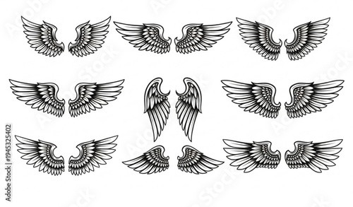 Vintage wings vector set with feathered emblem designs for logo label and brand mark
