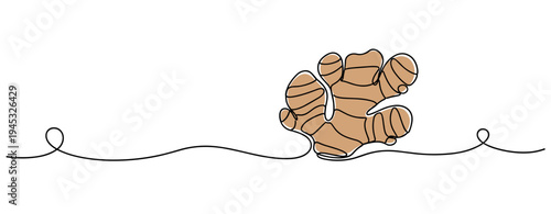 Ginger root illustrated with single continuous line on white background