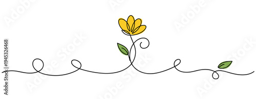 Single flower blooming on continuous line white background