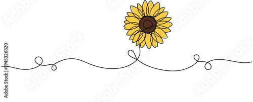 Sunflower floating above decorative line on white background