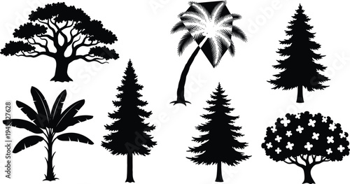 Tree silhouette collection, tropical palm, pine, oak and banana trees, black nature vector set, forest plants illustration, botanical clipart for design projects