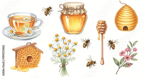 Watercolor illustration of honey related items on white background