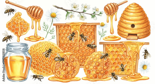 Watercolor illustration of honey honeycomb bees and floral elements