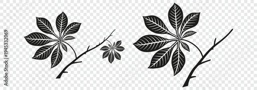 Botanical leaf branch silhouette set isolated on transparent background