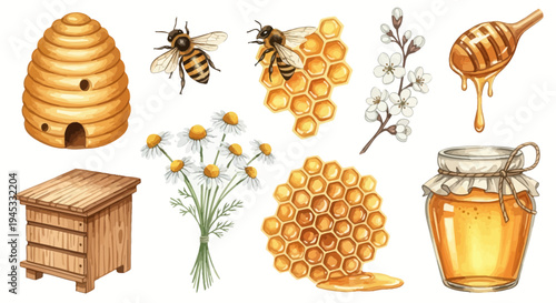 Watercolor illustration of honey related elements for design and commercial use
