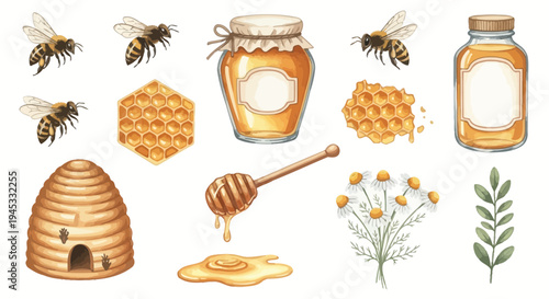 Watercolor illustration of honey related elements for design and decoration