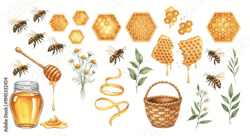 Watercolor illustration of honey related elements for design projects