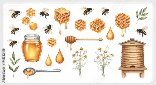 Watercolor illustration of honey related elements including bees and honeycombs