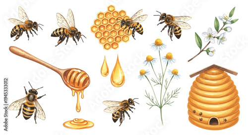 Watercolor illustration of honeybees honeycomb flowers and a beehive element