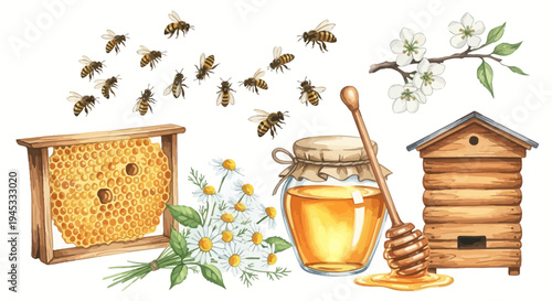 Watercolor illustration of honeybees honeycomb flowers and beehive