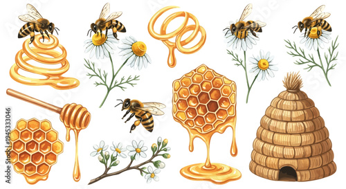 Watercolor illustration of honeybees honeycomb flowers and beehive elements