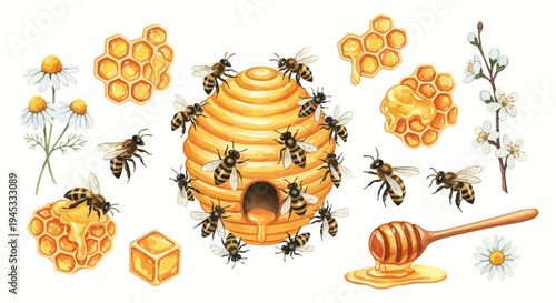 Watercolor illustration of honeybees honeycomb flowers and honey elements
